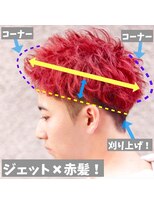 ブレイズ コクラ(BLAZE KOKURA)&nbsp;【解説】レッドベリーショート！