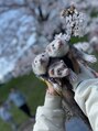 メグヘアークリエーション 鶴見店(mEg hair creation) 私が飼ってるフェレットたちです(^^)