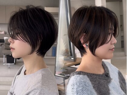 ネア(nea)の写真