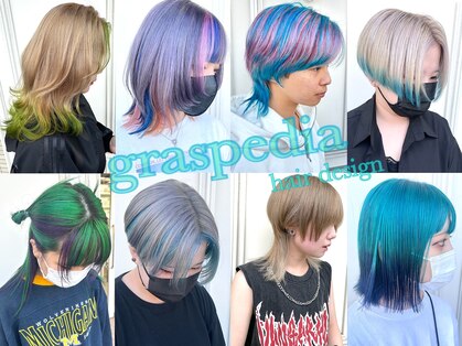 グラスペディア(graspedia)の写真
