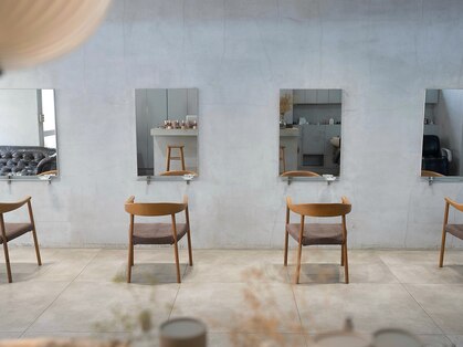 ミント(mint)の写真