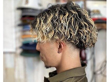 ハウオリ(hau'oli)の写真