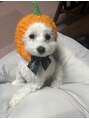 ミリ 久留米(miri..) 愛犬(^_^)今年のハロウィンの仮装はカボチャ!