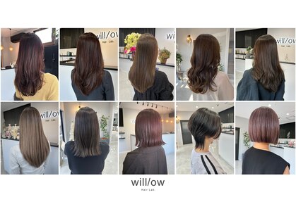 ウィロー(will/ow)の写真