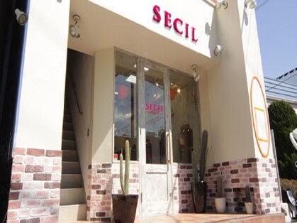 セシル 高津店(SECIL)の写真
