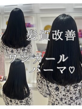 アピッシュ ギンザ(apish ginza) 浅子小百合/髪質改善ワンカールパーマ