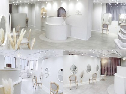 カラークチュール(Color Couture)の写真