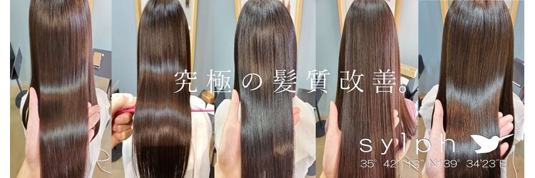 シルフ 吉祥寺(sylph)のサロンヘッダー