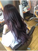 ラベンダーピンクパープル