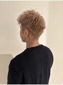 春夏おすすめ