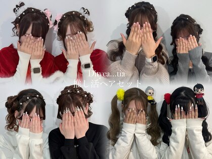 ディティカ ティア(Dityca tia)の写真