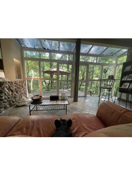 心地よい空間、時間、接客でお出迎えいたします★自然の風景を感じるテラスで癒されに是非ご来店ください♪