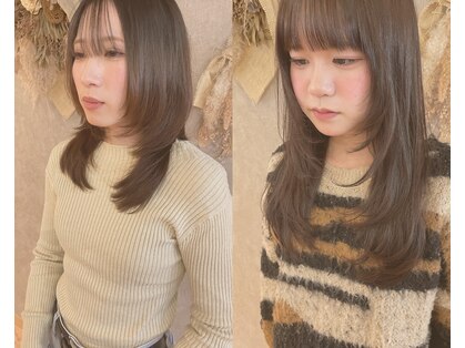 ナイト(KNIGHT)の写真