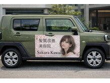 サクラカワイイ(sakura kawaii)