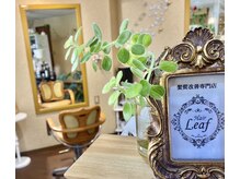 ヘアー リーフ(Hair Leaf)の雰囲気（BGMのピアノ曲と木の温もり&完全予約なので個室感覚でゆったり♪）