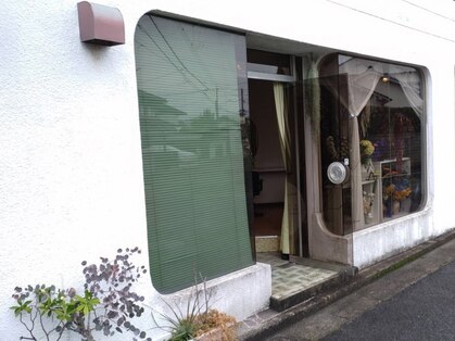 ウーズ(ooze)の写真