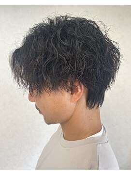 エイル リュクス(Aujua Eir LUXE) 【メンズ】【ツイストスパイラル】【波巻きパーマ】