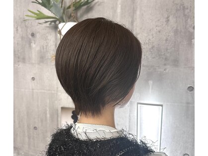 シュシュ(Chouchou.)の写真