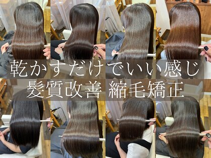 トリコ(TRICO)の写真