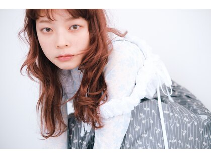 タルト(TARTE)の写真