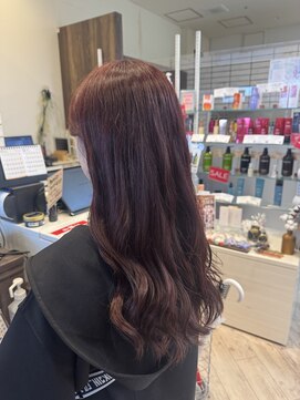 カイノ 堺東店(KAINO) ワインレッドカラー