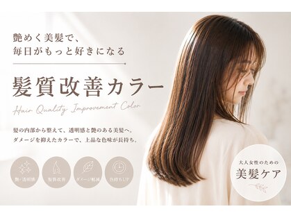 イト(ito)の写真