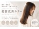 イト(ito)の写真
