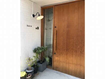 ハコ(haco)の写真