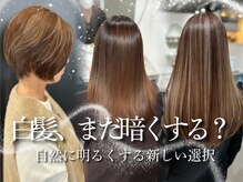 エルピス 大和店(elpis)