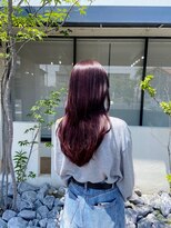 リコリス(licoris)&nbsp;ワインレッド