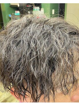 カットインライオン(CUTinLION) メンズの明るい白髪染め+パーマスタイル