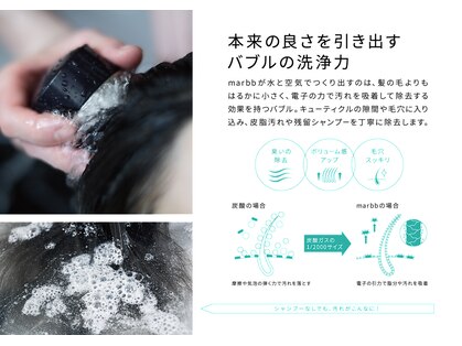 ノニ(no.2)の写真