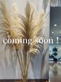 スタジオフィット(STUDIO FITTO) STAFF 募集