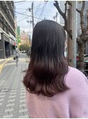 ピンクラベンダー