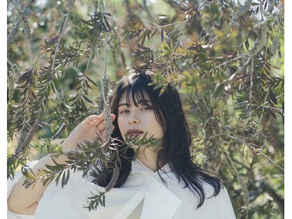シー(si)の写真