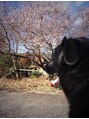 ザパーク(THE PARK)&nbsp;犬と猫がだいすき！