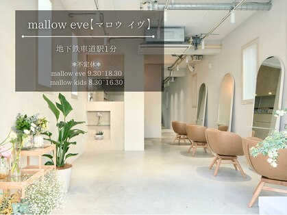 マロウイヴ(mallow eve)の写真