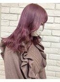 ピンクラベンダー