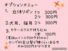 ヘアーセット モコロ(Hair Set MOCORO)の雰囲気（オプションメニューです）