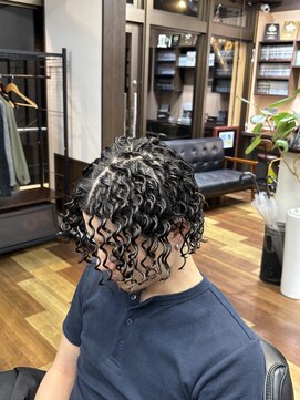 ヘアーサファリ(Hair Safari) スプリングドレッド