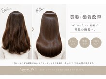 アプシーワン(Apsee.ONE)の雰囲気(髪のお悩みを解決し、艶髪を実現)