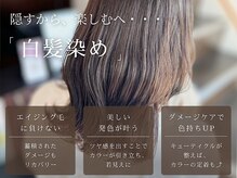 マーシュフラッグ(MARSHFLAG)の雰囲気（ダメージレス透明度の高いカラーリングを推奨しています。）