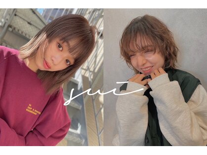 スイ(sui)の写真