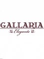 ガレリアエレガンテ 尾張旭店(GALLARIA Elegante) GALLARIA Elegante