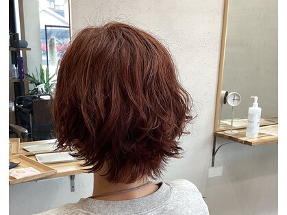 ヘアコカリサの写真