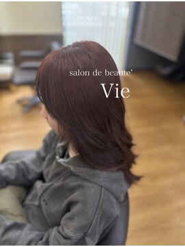 サロンドボーテヴィー(salon de beaute'Vie) 和漢カラー