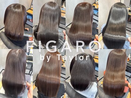 フィガロ バイ テイラー(FIGARO by Taylor)の写真