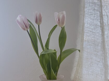 ヨル(yoru.)の写真