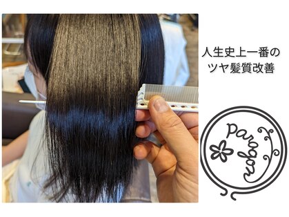パラゴンヘア(Paragon hair)の写真