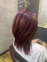 アスフィーダ(A'sfida) ウルフピンクローズ